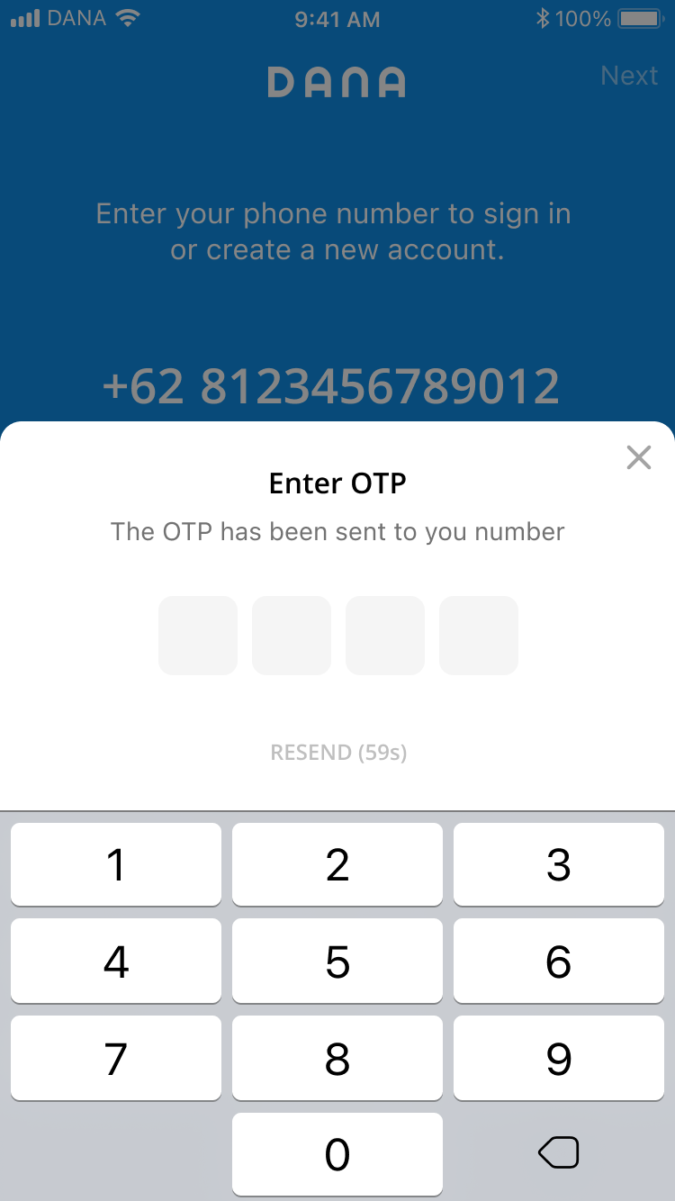 OTP input screen, v1